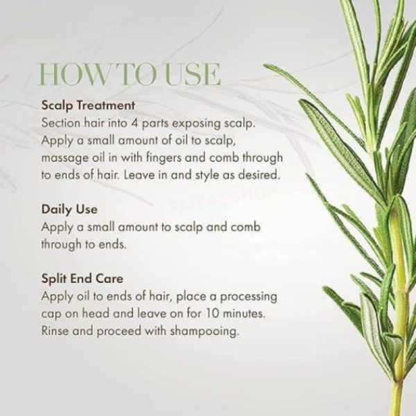 Mielle Rosemary Mint Oil for Stronger, Healthier Hair Growth 59ml - Image 4