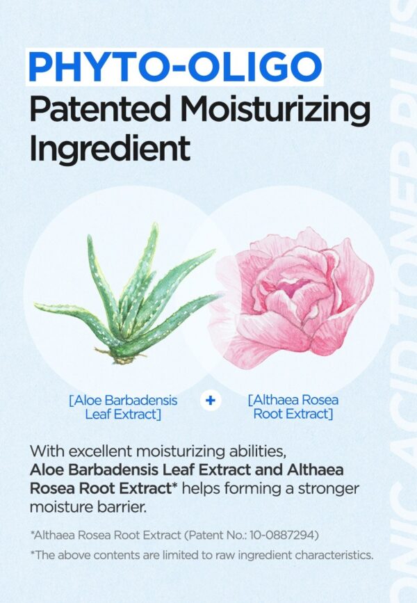 Hydration Powerhouse: Isntree Hyaluronic Acid Toner Plus 200ml - Image 10